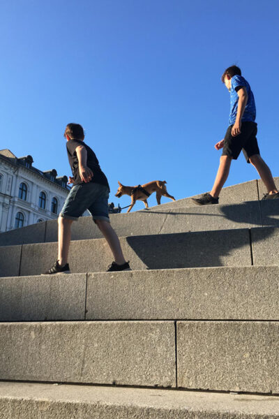 Tågluffa med hund